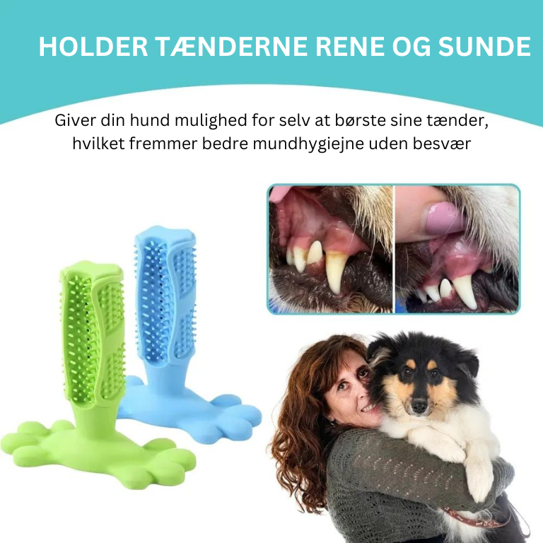 ActivePup® | Væk med tandbelægninger: Din hunds nye yndlingstandbørste!