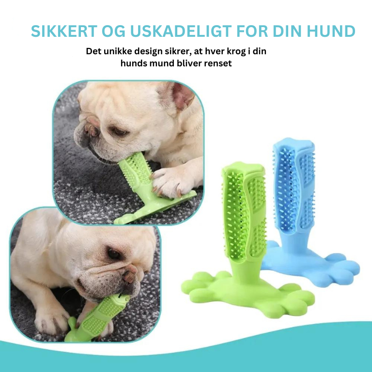 ActivePup® | Væk med tandbelægninger: Din hunds nye yndlingstandbørste!