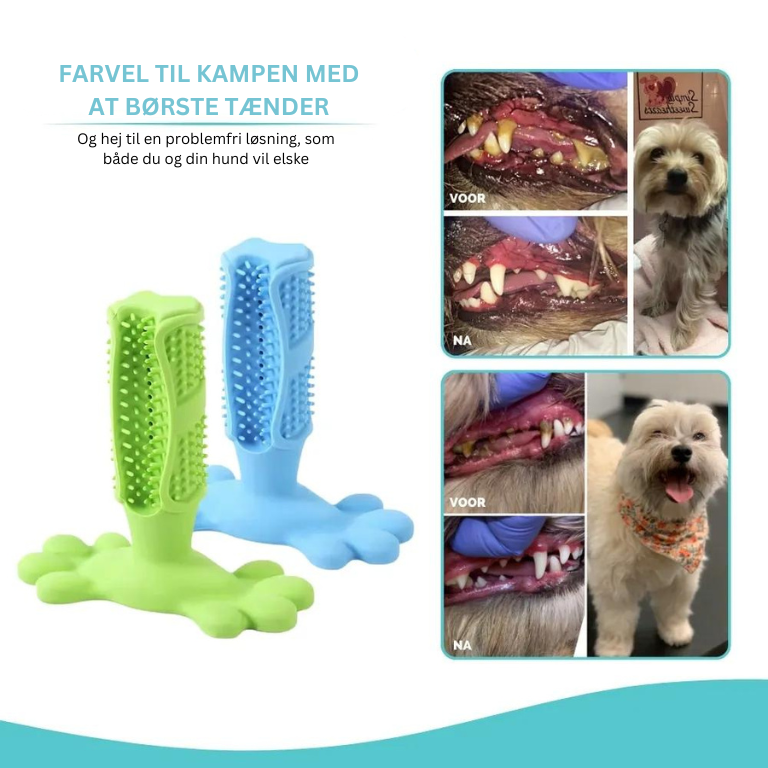 ActivePup® | Væk med tandbelægninger: Din hunds nye yndlingstandbørste!